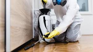 Best Fumigation Services  in Hutchinson Island South, FL