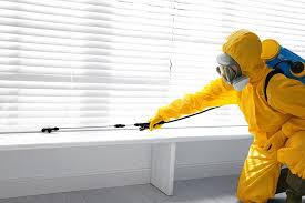 Best Organic or Eco-Friendly Pest Control  in Hutchinson Island South, FL